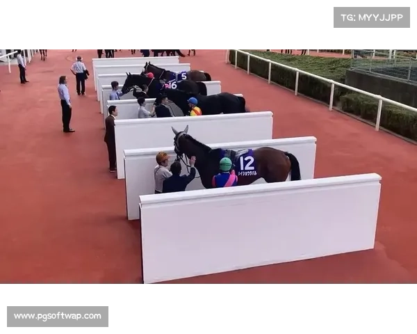 名将田原 G1 首冠!父子制霸宝塚纪念赛创历史 名将田原 G1 首冠!父子制霸宝塚纪念赛创历史